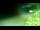 Webcam in Negril, 281.5 mi away