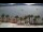 Webcam in Marmaris, 44.7 km entfernt