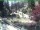 Webcam in Ruhla, 7.7 km