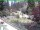 Webcam in Ruhla, 3 mi away