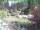 Webcam in Ruhla, 10.2 mi away
