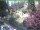 Webcam in Ruhla, 8.8 km