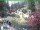 Webcam in Ruhla, 26.4 km