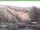 Webcam in Ruhla, 45.6 km entfernt