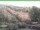 Webcam in Ruhla, 7.6 km