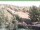 Webcam in Ruhla, 38 km entfernt