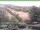Webcam in Ruhla, 3.7 mi away