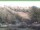 Webcam in Ruhla, 9.5 km entfernt