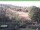Webcam in Ruhla, 35.4 km