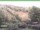Webcam in Ruhla, 8.7 km entfernt