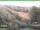 Webcam in Ruhla, 13.5 mi away