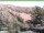 Webcam in Ruhla, 3.4 mi away