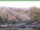 Webcam in Ruhla, 49.4 km