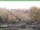 Webcam in Ruhla, 9.8 km