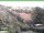 Webcam in Ruhla, 20.5 km entfernt