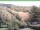 Webcam in Ruhla, 7.6 km