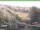 Webcam in Ruhla, 7.6 km