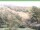 Webcam in Ruhla, 11.3 km