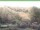 Webcam in Ruhla, 49.4 km