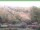 Webcam in Ruhla, 8.9 km entfernt