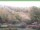 Webcam in Ruhla, 3.4 mi away