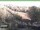 Webcam in Ruhla, 10.1 km
