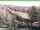 Webcam in Ruhla, 18.8 km