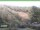 Webcam in Ruhla, 8.9 km