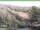 Webcam in Ruhla, 2.8 km