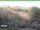 Webcam in Ruhla, 38 km entfernt