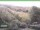 Webcam in Ruhla, 41.8 km