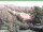 Webcam in Ruhla, 8.7 km entfernt