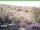 Webcam in Ruhla, 9.4 km entfernt