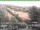 Webcam in Ruhla, 35.4 km entfernt