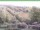 Webcam in Ruhla, 11.3 km