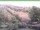 Webcam in Ruhla, 35.4 km entfernt