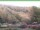 Webcam in Ruhla, 2.9 mi away