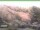 Webcam in Ruhla, 49.4 km