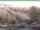 Webcam in Ruhla, 11.3 km entfernt