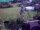 Webcam in Vechelde, 12 km