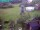 Webcam in Vechelde, 12 km