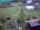 Webcam in Vechelde, 12 km entfernt