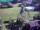 Webcam in Vechelde, 11.6 km