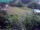 Webcam in Vechelde, 11.5 km