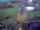 Webcam in Vechelde, 30 km