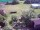 Webcam in Vechelde, 4.5 mi away