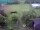 Webcam in Vechelde, 10.9 mi away