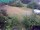 Webcam in Vechelde, 45 km