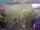 Webcam in Vechelde, 11.5 km