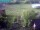 Webcam in Vechelde, 4.6 mi away